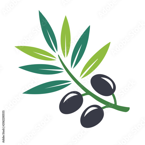 Olive branch vector icon isolated