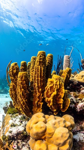 Vibrant underwater coral reef scene with yellow coral and fish