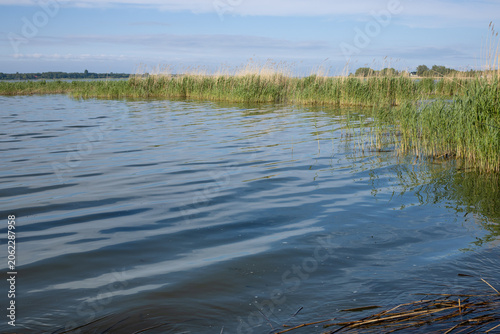 Obraz na plátne Rippling Lake Water Along Reed Covered Shoreline