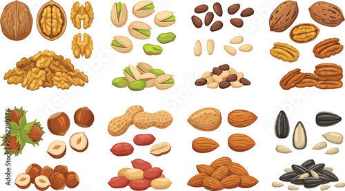 Quadro su tela Edible nuts and seeds vector collection