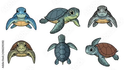Collection of six different sea turtles in various poses and perspectives, isolated on a white background.