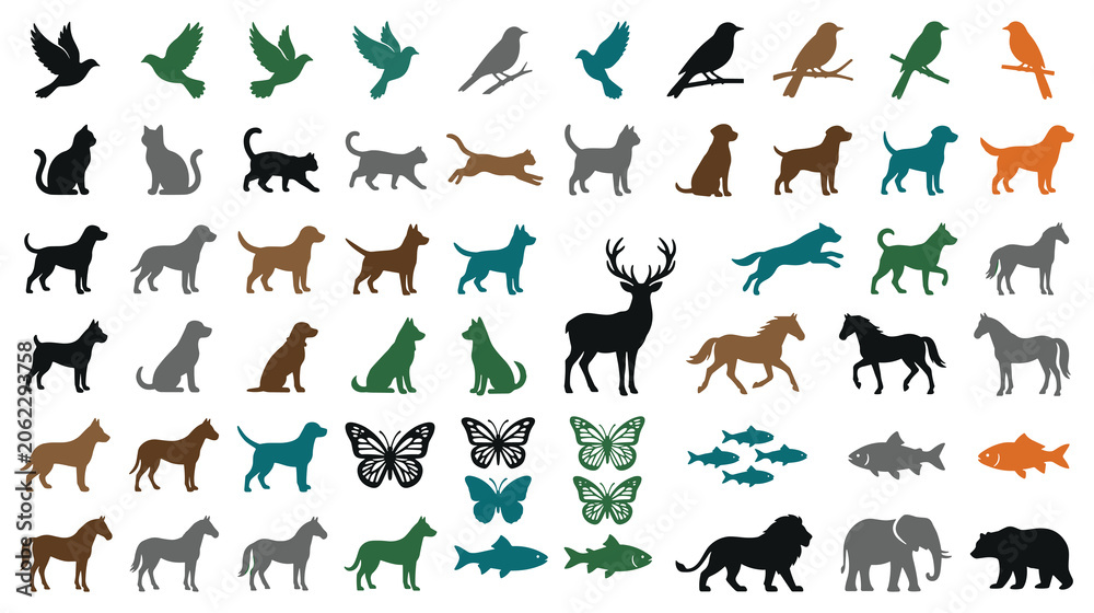Obraz premium Set of wild domestic animals, birds, fishes and butterflies, simple animal shapes isolated.