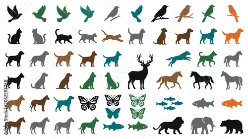 Photography Set of wild domestic animals, birds, fishes and butterflies, simple animal shapes isolated