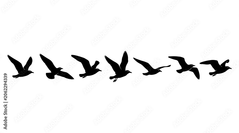 Obraz premium Black bird silhouettes in flight flock against white background