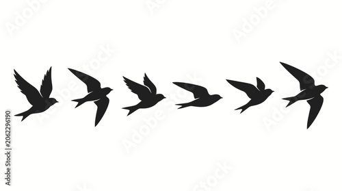Black swallow bird silhouettes flying in a horizontal row on white background