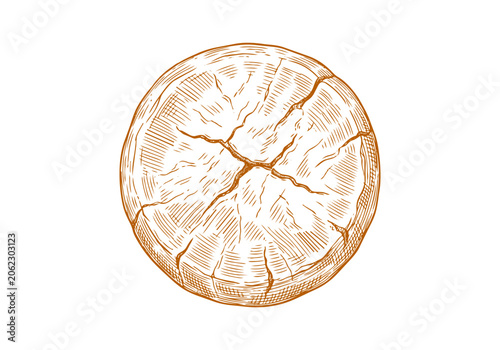 Schilderij op canvas Vintage Cheese Wheel Vector Illustration Hand Drawn Dairy Product Wedge Slice Tr