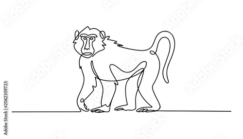 Photography One continuous line illustration of an Baboon animal , isolated on white background