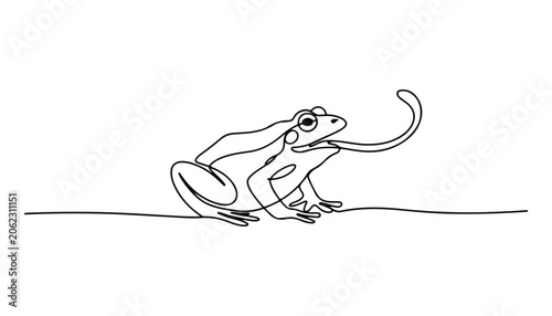 Schilderij op canvas One continuous line illustration of an frog animal , isolated on white background