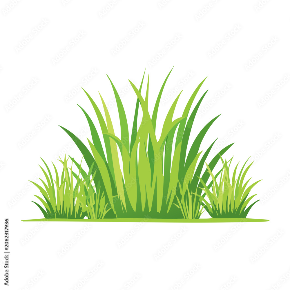 Fototapeta premium Minimalist green grass blades on transparent background