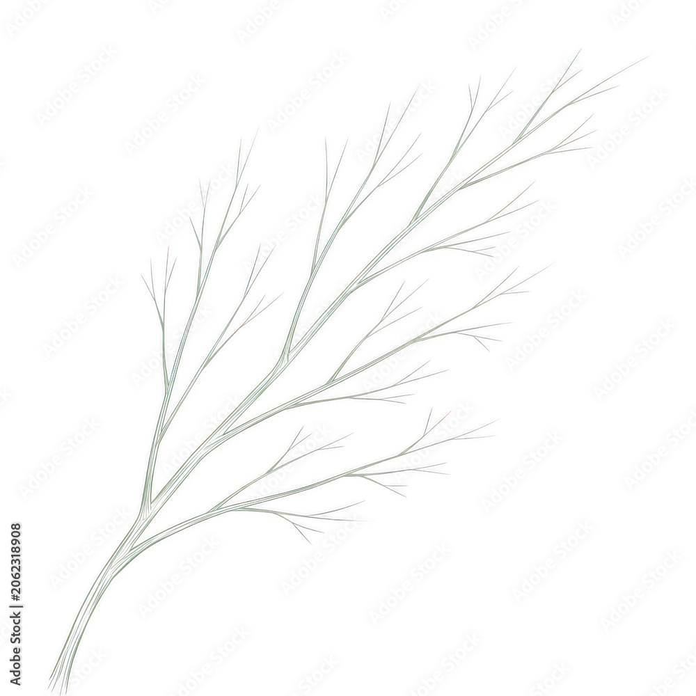Fototapeta premium Delicate white branches with small buds on light background isolated on transparent background
