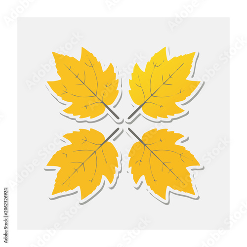 Yellow and orange autumn leaf vector