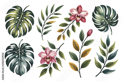 Tropical Leaves and Flowers Illustration on White Background