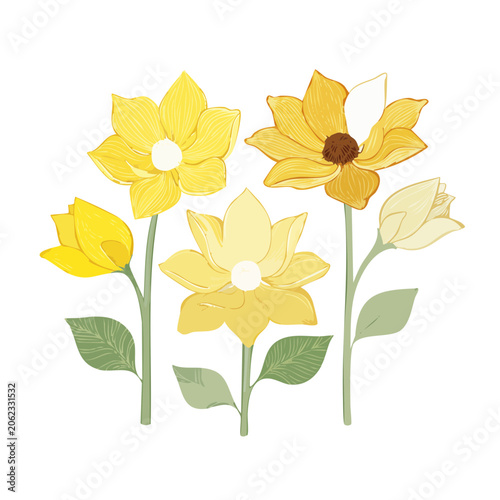 Yellow flowers flat illustration on white background