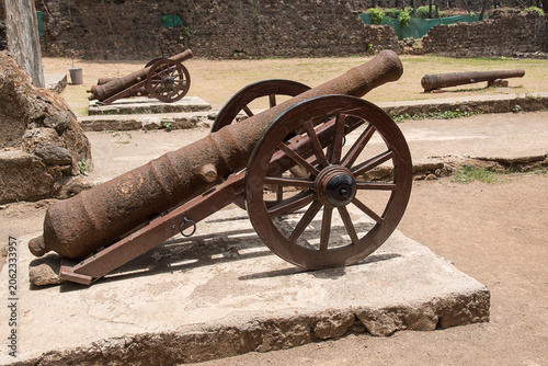 Konstfotografi Old Cannons in Revdanda fort