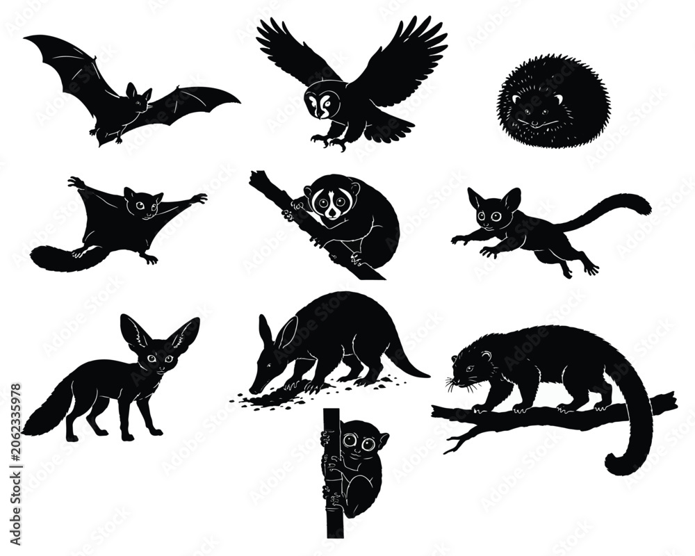 Fototapeta premium Nocturnal Animal Silhouettes Black Wildlife Icons