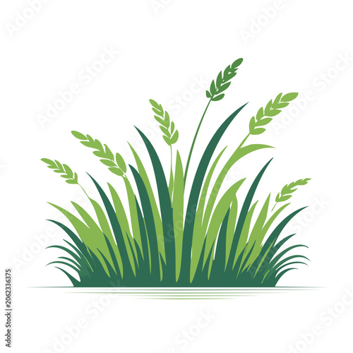 Green grass flat design isolated