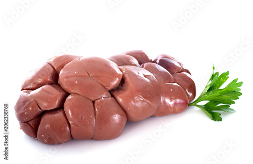 Foto calf kidney in studio