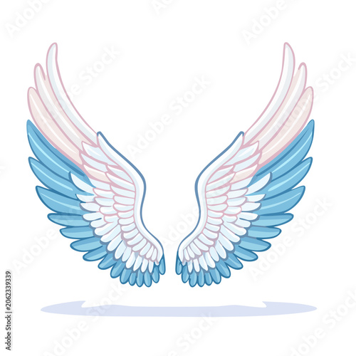 Blue and Pink Angel Wings Illustration