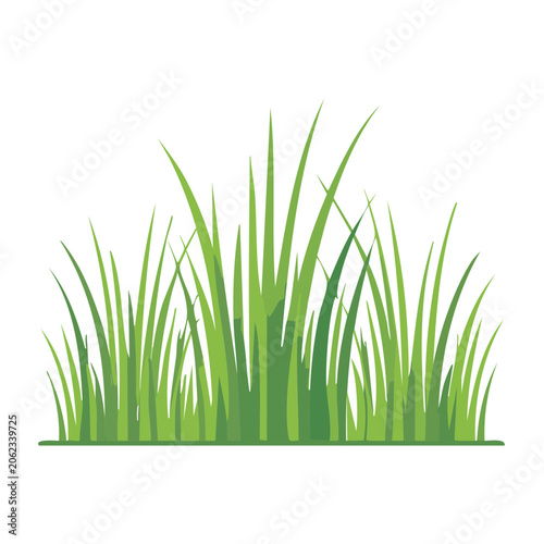 Green grass blades illustration on white background