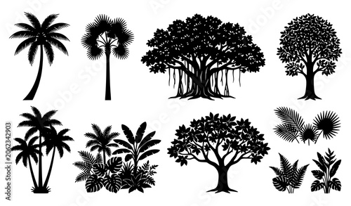 Canvastavla Decorative Palm and Broadleaf Tree Silhouettes Vector Botanical Landscape Collec