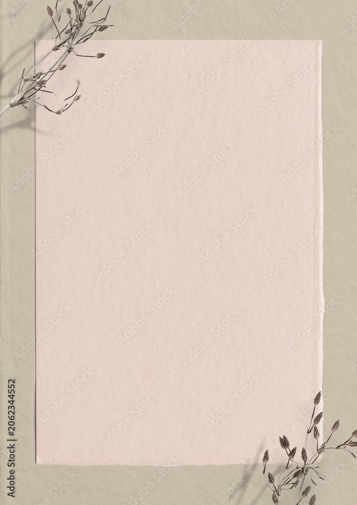 Fototapeta premium Pastel pink paper background, dry flower border