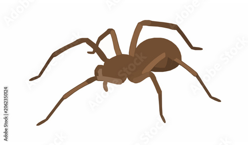 Minimalist Brown Recluse Spider Flat Vector Design on White Background