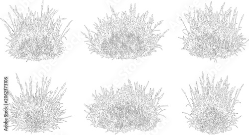 Elevation view and vector set of ornamental grasses featuring six distinct clump designs for landscape architecture projects
