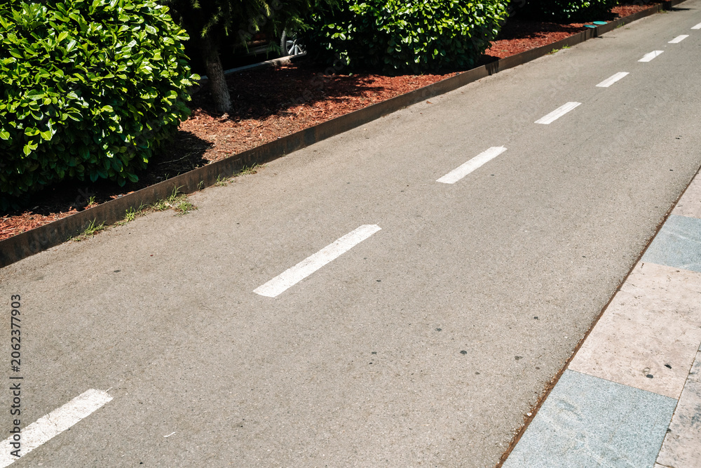 Obraz premium Urban Bicycle Path with Segmented Lane Markings and Greenery