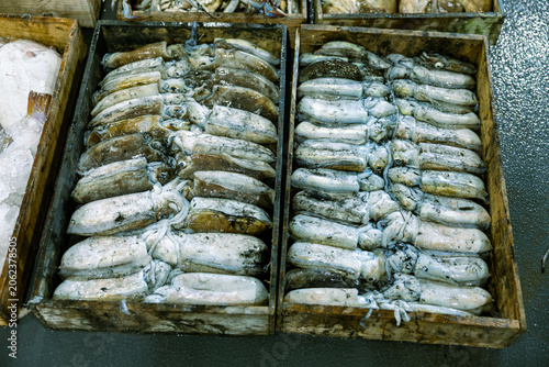 Bild auf Leinwand Fresh Fish Awaiting Auction at a Seafood Market