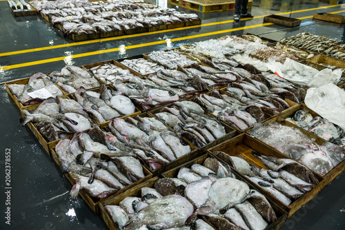 Φωτογραφία Fresh Fish Awaiting Auction at a Seafood Market