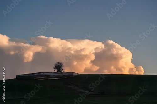 Foto Lone Tree on Dark Hill Beneath Glowing Evening Clouds