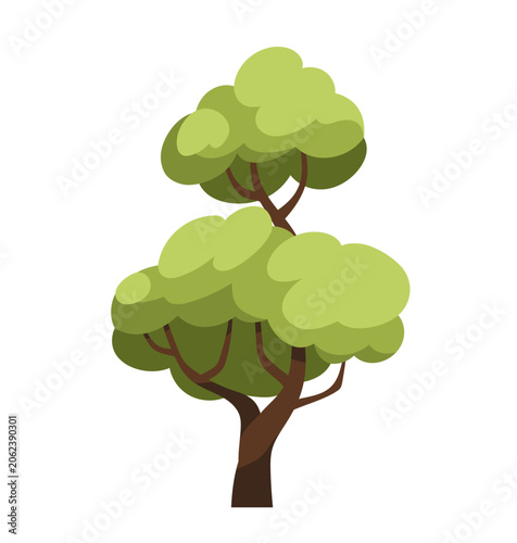 Deciduous forest tree with green leaf canopy, branches and trunk. Summer plan...