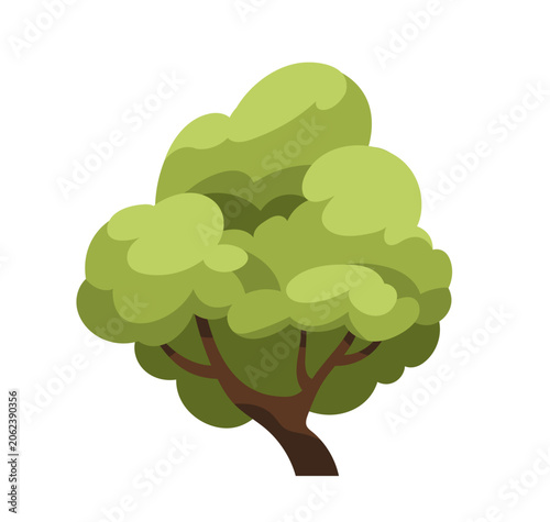 Deciduous oak tree with lush green fluffy foliage canopy and trunk. Summer fo...