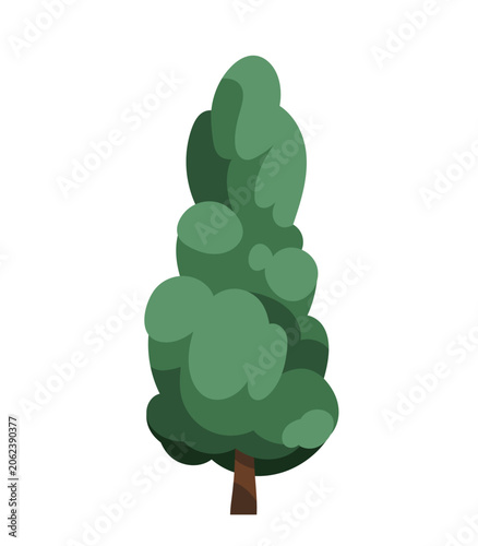 Deciduous tree with dense green canopy, trunk. Summer forest plant with leaf ...