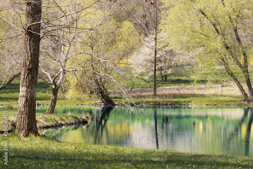 Spring City Park of Chisinau