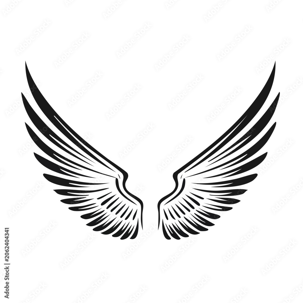 Fototapeta premium Black and white feather vector illustration