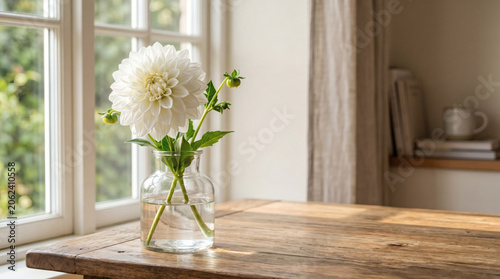 Elegant White Dahlia In Glass Vase By Bright Window