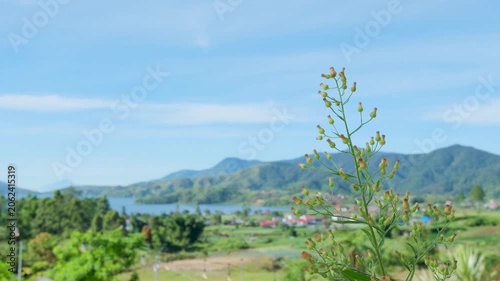 Landscape view of green mountains and twin lakes in Alahan Panjang, Solok, West Sumatra