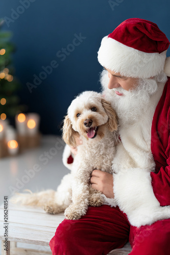 Santa Claus Holding a Small White Dog for Christmas