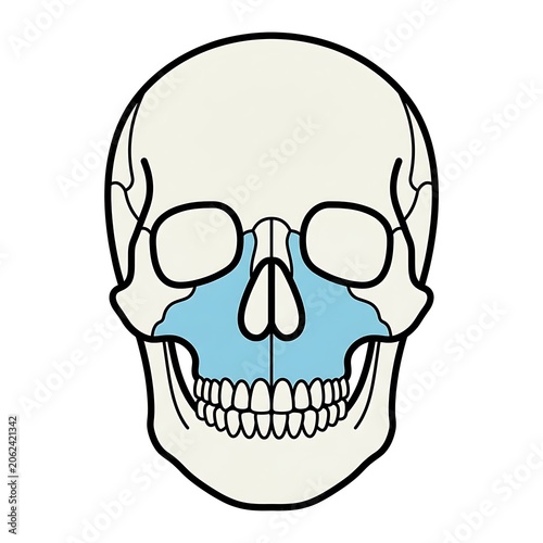 Cartoon skull with blue eye sockets and sharp teeth.