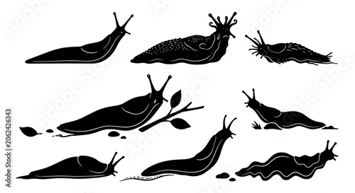 Bild auf Leinwand Black slug silhouette collection, set of 8 garden mollusk vector icons, gastropo