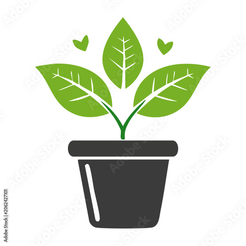 Flat design green plant in black pot isolated