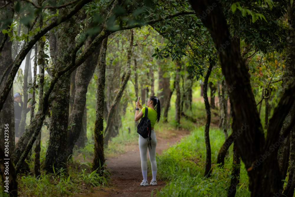 Fototapeta premium Woman hiking in rainforest. She loves hiking on nature trail. Enjoy adventure hiking in jungle.