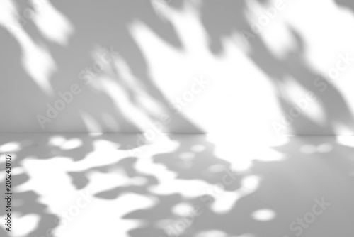 Tree leaf shadow overlay on the wall and floor isolated on a transparent background PNG