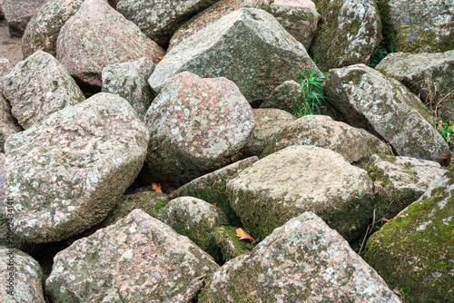 Rocks scattered on the ground in a natural setting