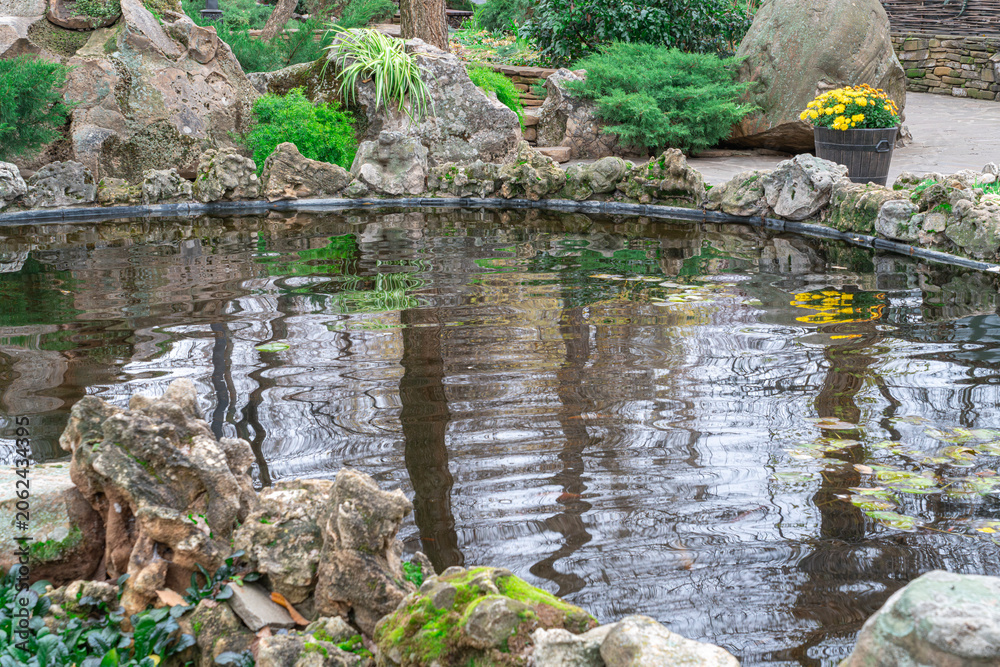 Fototapeta premium Water reflects trees in a garden pond