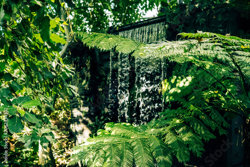 Slika na platnu Artificial waterfall surrounded by plants to recreate a rainforest environment