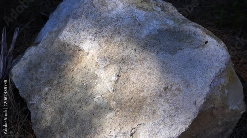 Moving leaf shadows on sunlit rock, natural light texture background