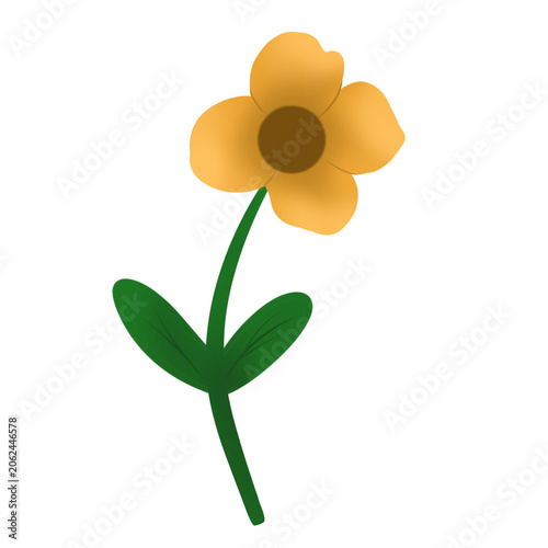 yellow flower isolated on white