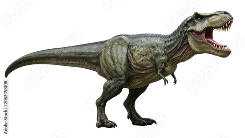 Tableau sur toile Tyrannosaurus Rex dinosaur roaring with mouth open